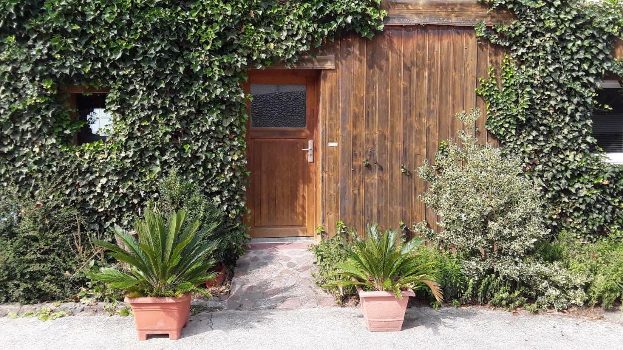 Gaestezimmer Sommer Locktow Eksteriør bilde