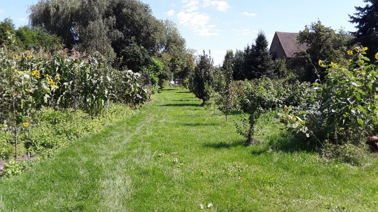 Gaestezimmer Sommer Locktow Eksteriør bilde