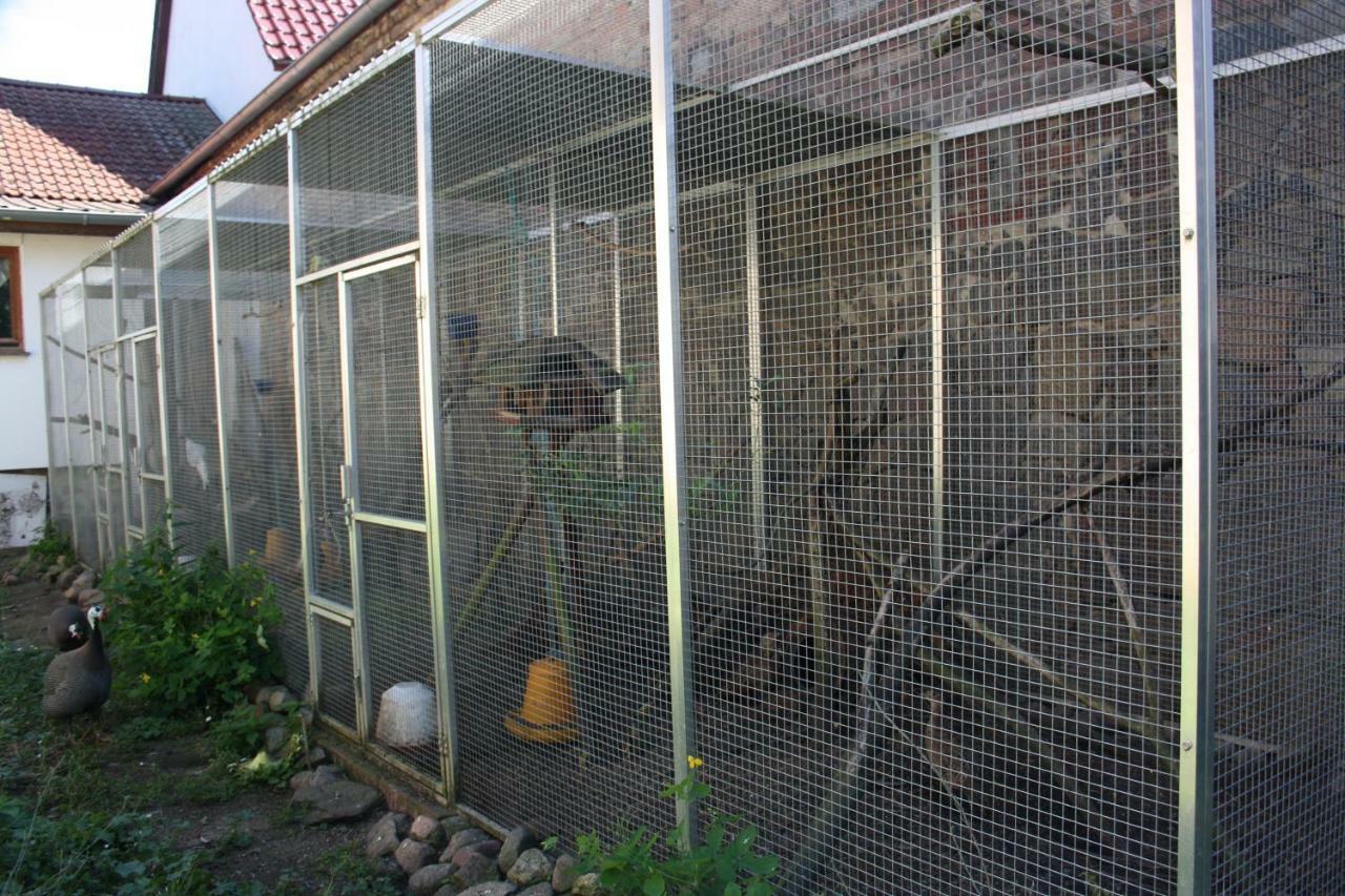 Gaestezimmer Sommer Locktow Eksteriør bilde